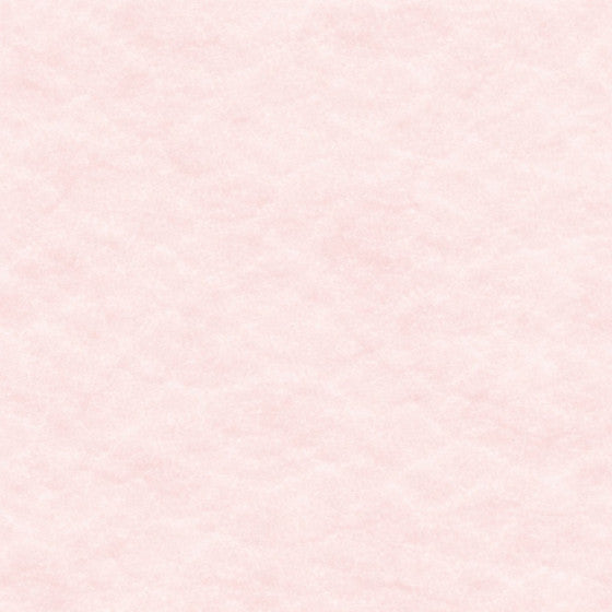 Stampa tesi copertina morbida brossura Rosa Pastello - Carta Carbone