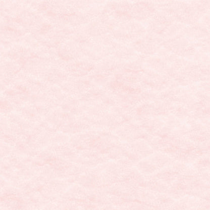 Stampa tesi copertina morbida brossura Rosa Pastello - Carta Carbone
