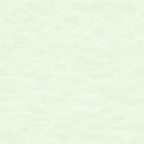 Stampa tesi copertina morbida brossura Verde Pastello - Carta Carbone