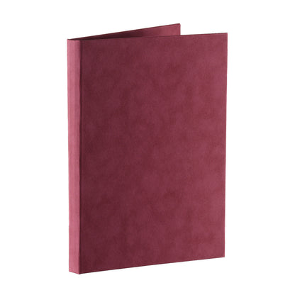 MERCURIO Copertina TESI effetto velluto